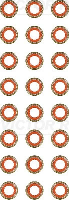 Seal Set, valve stem